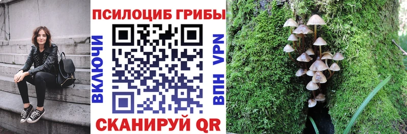Галлюциногенные грибы Psilocybine cubensis как найти закладки Бежецк